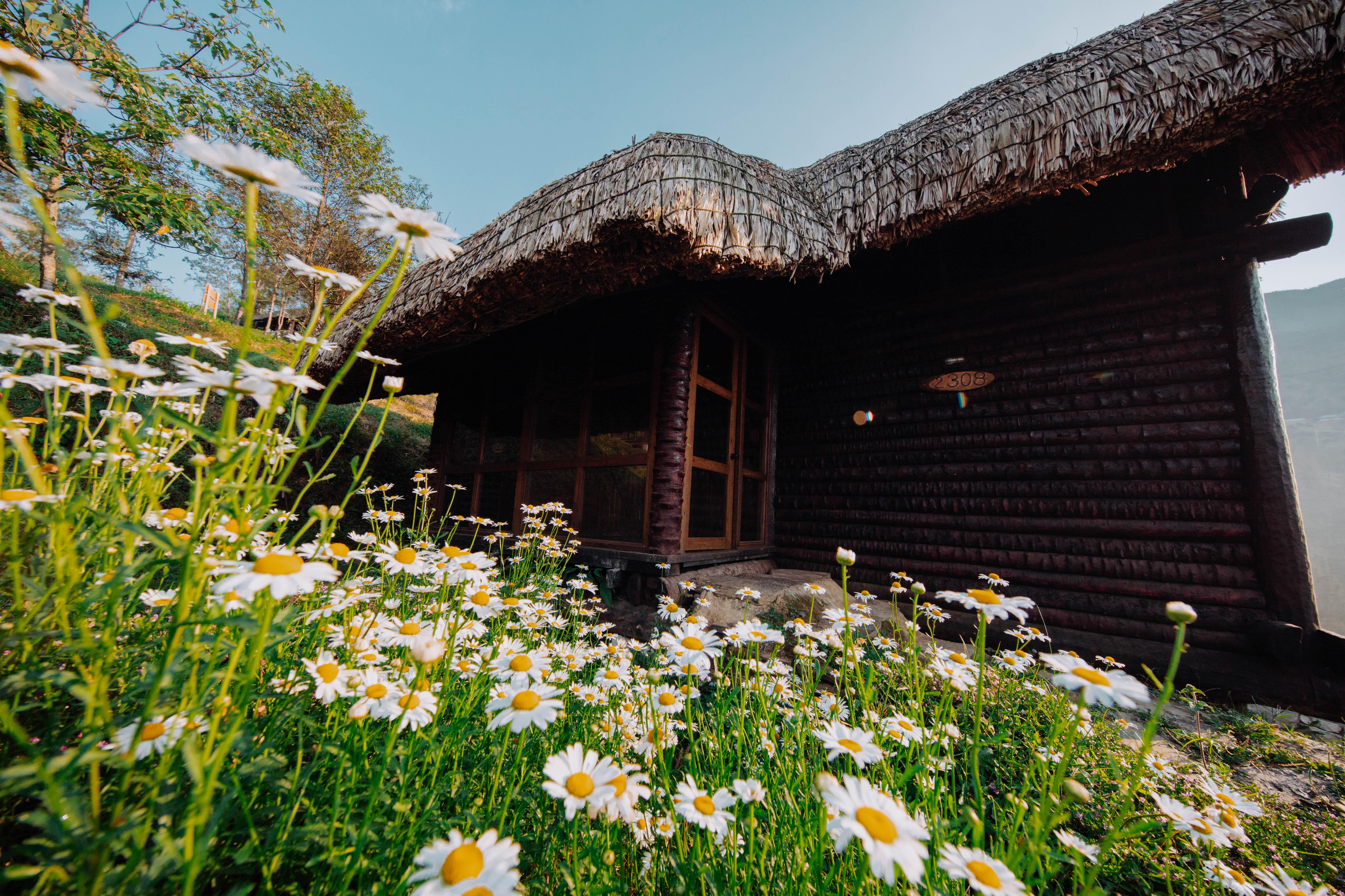 Sapa Jade Hill Resort & Spa Esterno foto